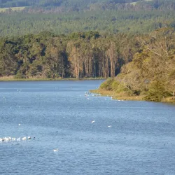 Nearby Coastal Areas - San Antonio de Petrel