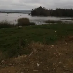 Nearby Coastal Areas - San Antonio de Petrel