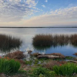 Picnic Areas and Natural Spots - San Antonio de Petrel