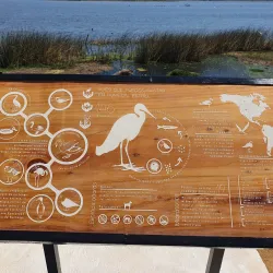 Picnic Areas and Natural Spots - San Antonio de Petrel