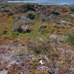 Picnic Areas and Natural Spots - San Antonio de Petrel