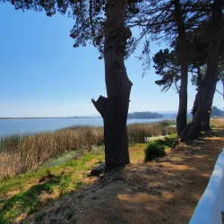 Picnic Areas and Natural Spots - San Antonio de Petrel