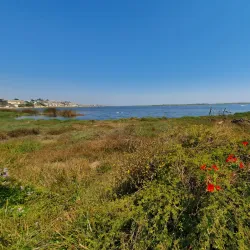 Picnic Areas and Natural Spots - San Antonio de Petrel