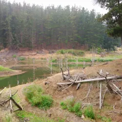 San Antonio de Petrel Church - San Antonio de Petrel