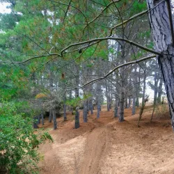 San Antonio de Petrel Church - San Antonio de Petrel