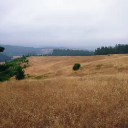 San Antonio de Petrel Church - San Antonio de Petrel