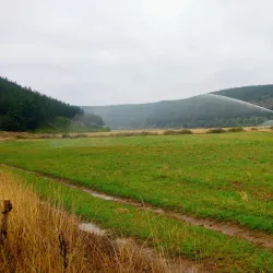 San Antonio de Petrel Church - San Antonio de Petrel