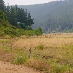 San Antonio de Petrel Church - San Antonio de Petrel