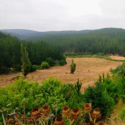San Antonio de Petrel Church - San Antonio de Petrel