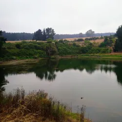 San Antonio de Petrel Church - San Antonio de Petrel