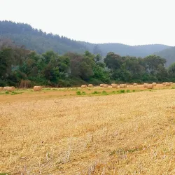 San Antonio de Petrel Church - San Antonio de Petrel