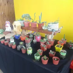 Mercado Municipal de San Bernardo - San Bernardo