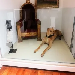 Museo Histórico de San Bernardo - San Bernardo