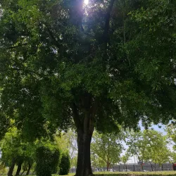 Parque La Bandera - San Bernardo