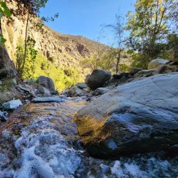 Parque Natural Quebrada de Macul - San Bernardo