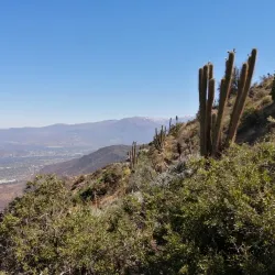 Parque Natural Quebrada de Macul - San Bernardo