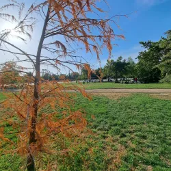 Parque O'Higgins de San Bernardo - San Bernardo