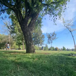 Parque O'Higgins de San Bernardo - San Bernardo