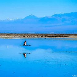 Atacama Salt Flats (Salar de Atacama) - San Pedro de Atacama