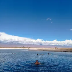 Laguna Cejar - San Pedro de Atacama