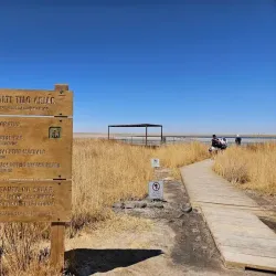 Laguna Cejar - San Pedro de Atacama