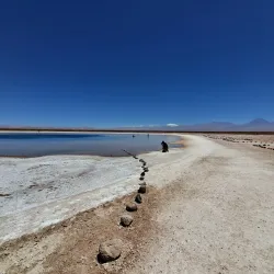 Laguna Cejar - San Pedro de Atacama