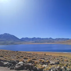 Laguna Miscanti and Laguna Miñiques - San Pedro de Atacama