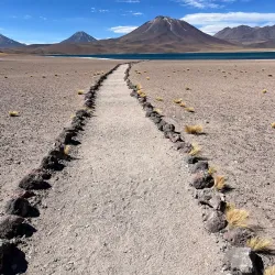 Laguna Miscanti and Laguna Miñiques - San Pedro de Atacama