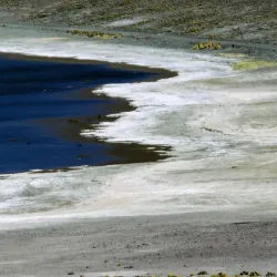 Laguna Miscanti and Laguna Miñiques - San Pedro de Atacama