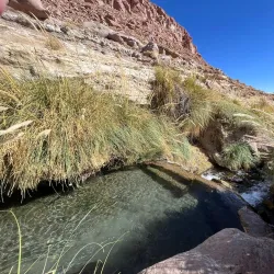 Termas de Puritama (Puritama Hot Springs) - San Pedro de Atacama