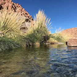 Termas de Puritama (Puritama Hot Springs) - San Pedro de Atacama