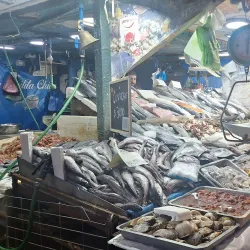 Mercado Central - Santiago
