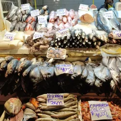 Mercado Central - Santiago