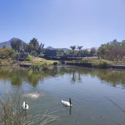 Parque Bicentenario - Santiago