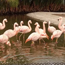 Parque Bicentenario - Santiago