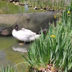 Parque Bicentenario - Santiago
