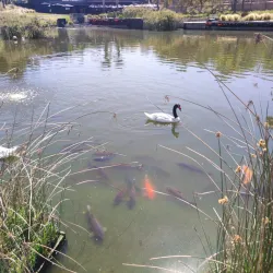 Parque Bicentenario - Santiago