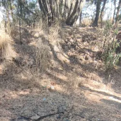 Fuerte de Talcahuano - Talcahuano