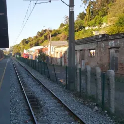 Mercado Municipal de Talcahuano - Talcahuano