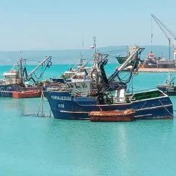 Mercado Municipal de Talcahuano - Talcahuano