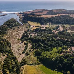 Parque Pedro del Río Zañartu - Talcahuano