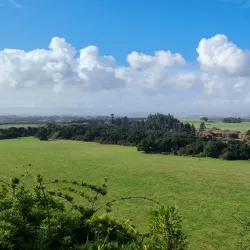 Parque Pedro del Río Zañartu - Talcahuano