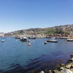 Puerto de Talcahuano - Talcahuano
