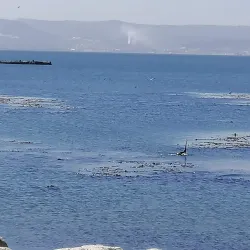 Puerto de Talcahuano - Talcahuano