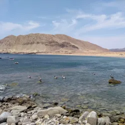 Bahía Taltal - Taltal