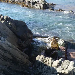 Bahía Taltal - Taltal