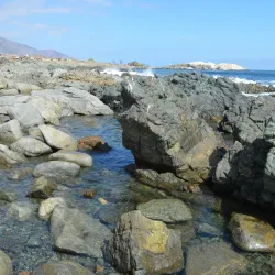 Caleta Paposo - Taltal