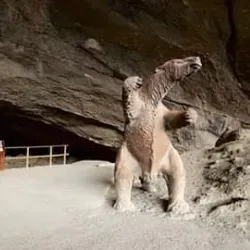 Cueva del Milodón (nearby) - Taltal