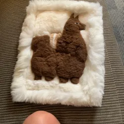 Local Artisan Markets - Taltal