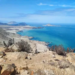 Pan de Azúcar National Park - Taltal